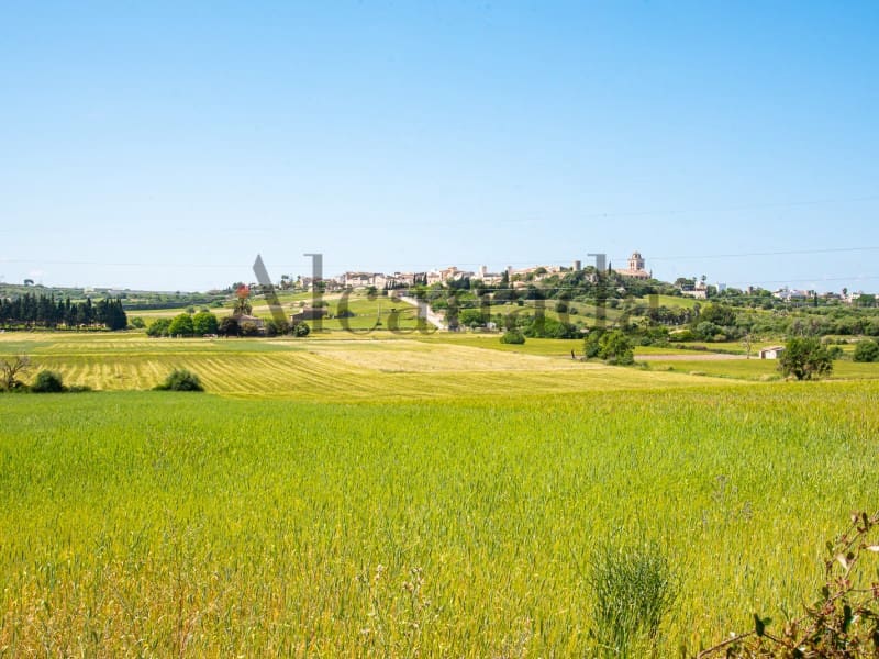 Undeveloped Land for sale in Muro - € 185,000 (Ref: 6940860)