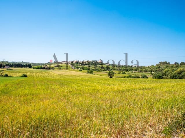 Undeveloped Land for sale in Muro - € 185,000 (Ref: 6940860)