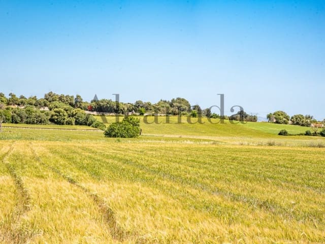 Undeveloped Land for sale in Muro - € 185,000 (Ref: 6940860)