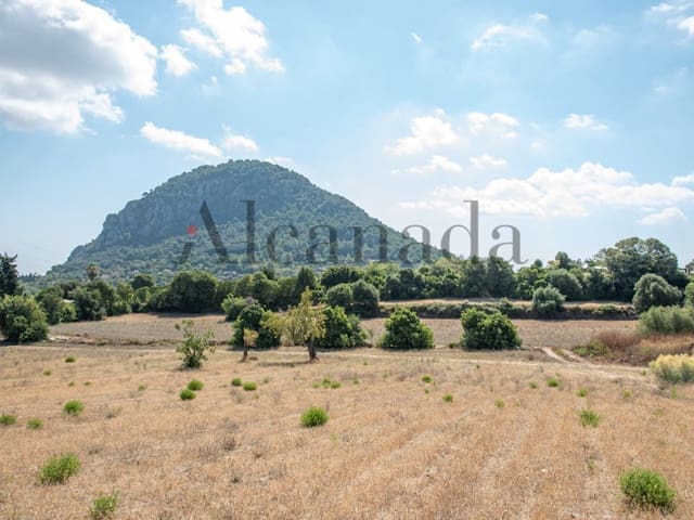 Grond te koop in Pollensa / Pollença - € 2.000.000 (Ref: 7048400)