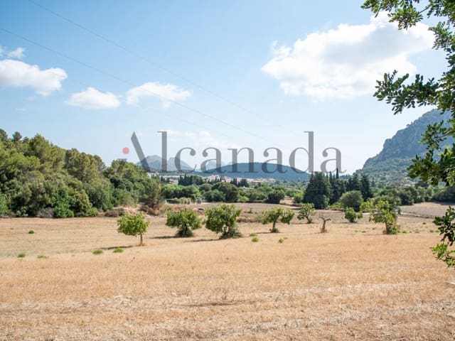 Grond te koop in Pollensa / Pollença - € 2.000.000 (Ref: 7048400)