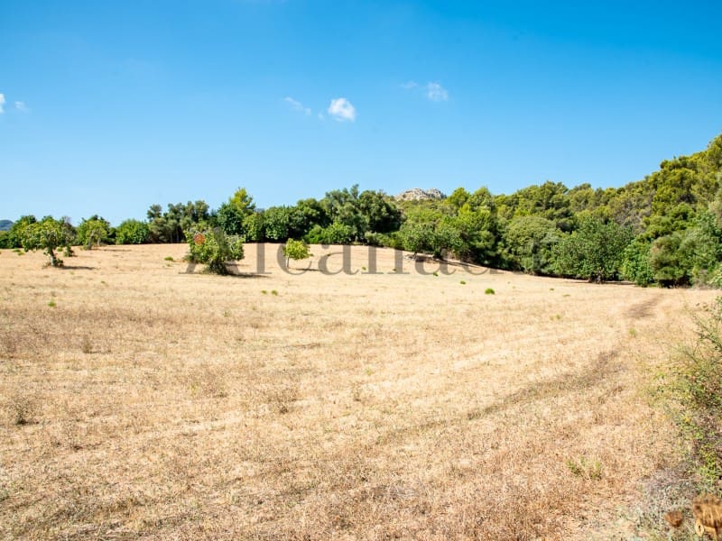 Grond te koop in Pollensa / Pollenca - € 2.000.000 (Ref: 7048400)