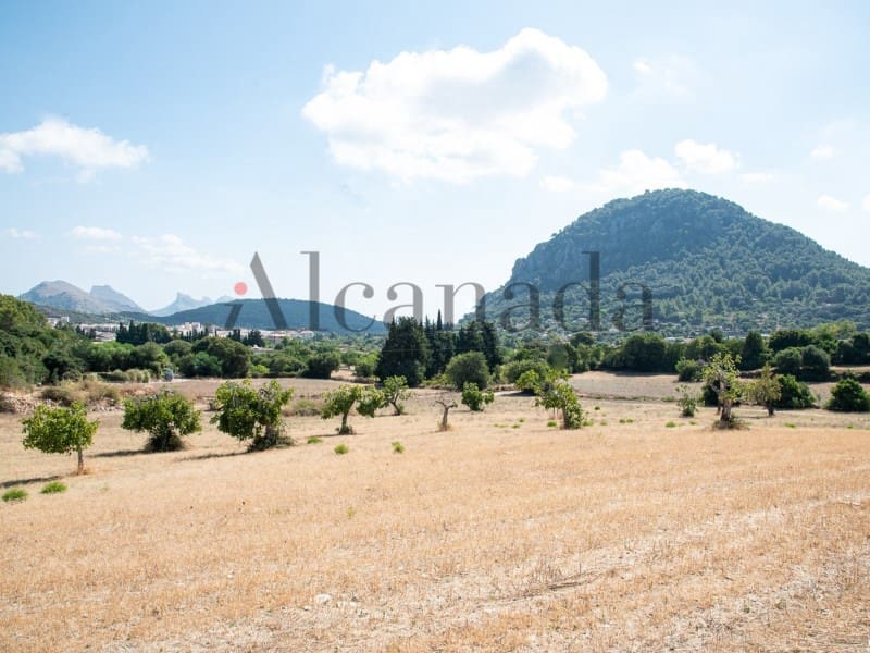 Grond te koop in Pollensa / Pollenca - € 2.000.000 (Ref: 7048400)