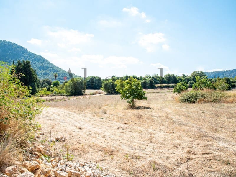 Grond te koop in Pollensa / Pollenca - € 2.000.000 (Ref: 7048400)
