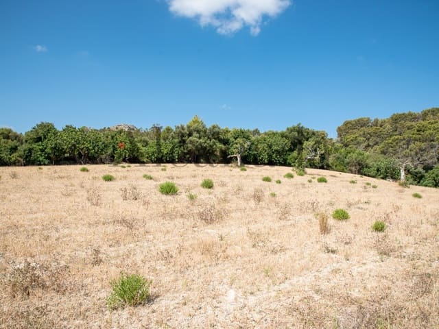 Grond te koop in Pollensa / Pollença - € 2.000.000 (Ref: 7048400)