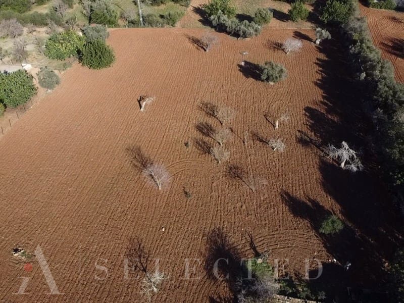 5 sypialnia Willa na sprzedaż w Pollensa / Pollenca - 900 000 € (Ref: 8017015)