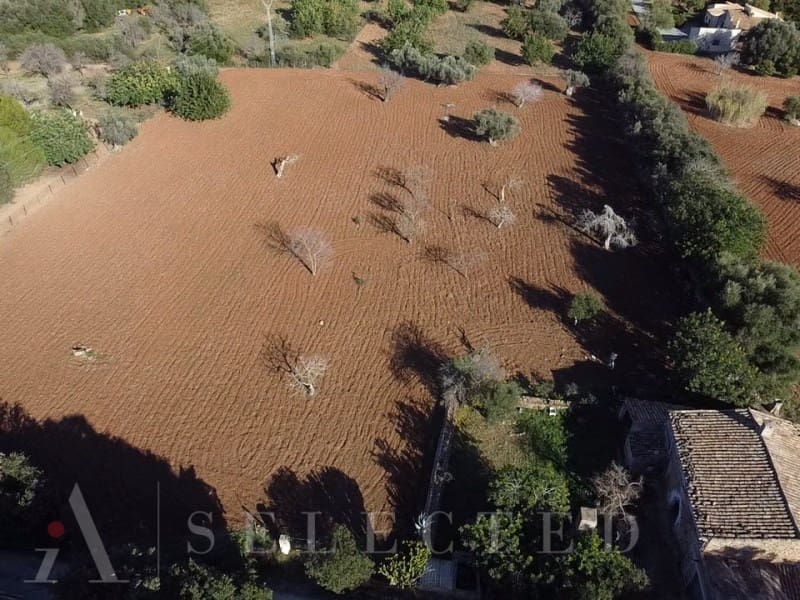 5 sypialnia Willa na sprzedaż w Pollensa / Pollenca - 900 000 € (Ref: 8017015)