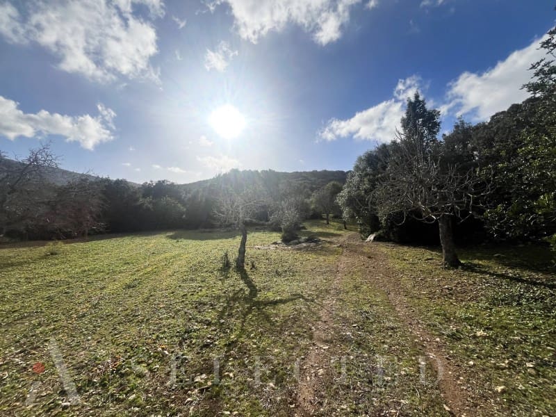 5 bedroom Villa for sale in Pollensa / Pollenca - € 2,500,000 (Ref: 8045512)