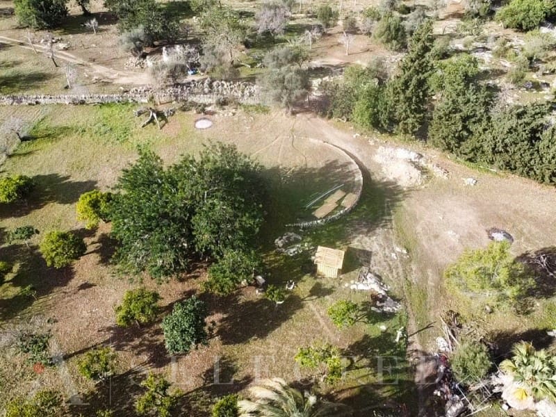 5 bedroom Villa for sale in Pollensa / Pollenca - € 2,500,000 (Ref: 8045512)