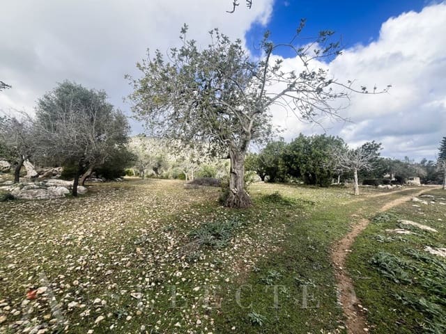 5 bedroom Villa for sale in Pollensa / Pollença - € 2,500,000 (Ref: 8045512)