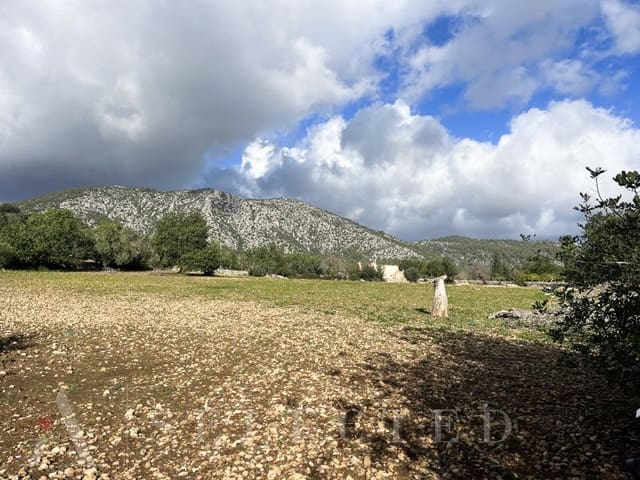 5 bedroom Villa for sale in Pollensa / Pollença - € 2,500,000 (Ref: 8045512)