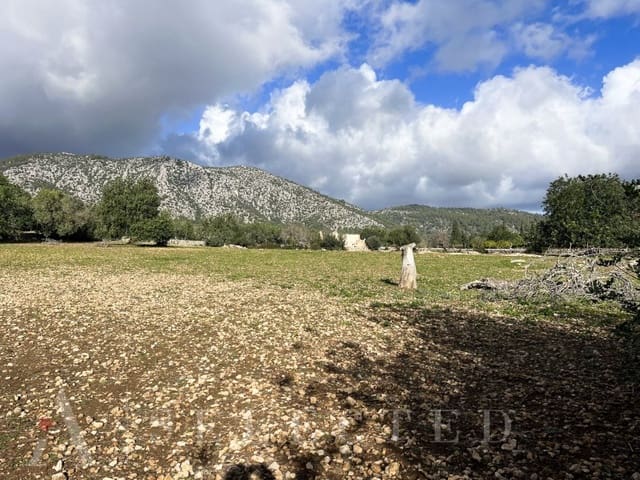 5 bedroom Villa for sale in Pollensa / Pollença - € 2,500,000 (Ref: 8045512)