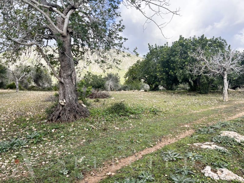 5 bedroom Villa for sale in Pollensa / Pollenca - € 2,500,000 (Ref: 8045512)