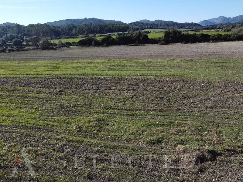 Ubebygd land til salgs i Pollensa / Pollenca - € 60 000 (Ref: 8052105)