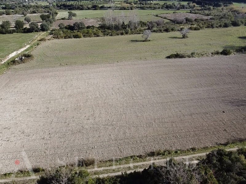 Ubebygd land til salgs i Pollensa / Pollenca - € 60 000 (Ref: 8052105)