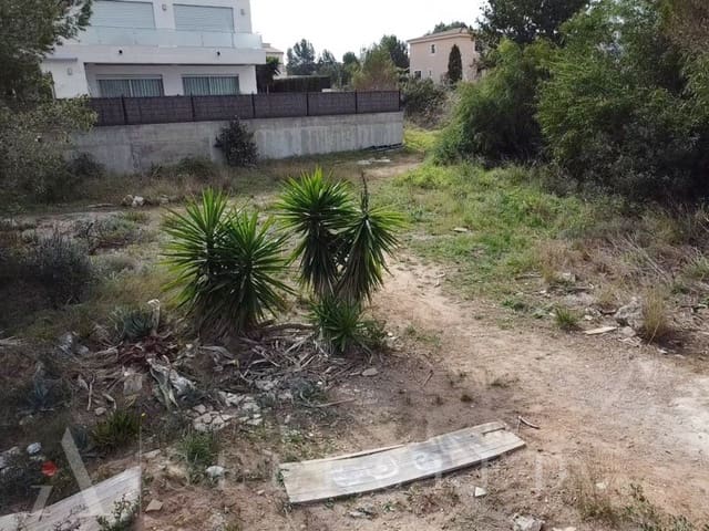 Building Plot for sale in Ca'n Picafort, Santa Margalida - € 257,500 (Ref: 8152553)