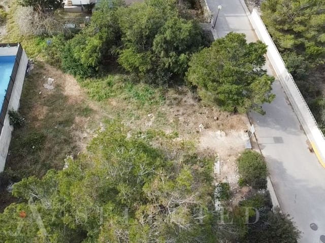 Building Plot for sale in Ca'n Picafort, Santa Margalida - € 257,500 (Ref: 8152553)