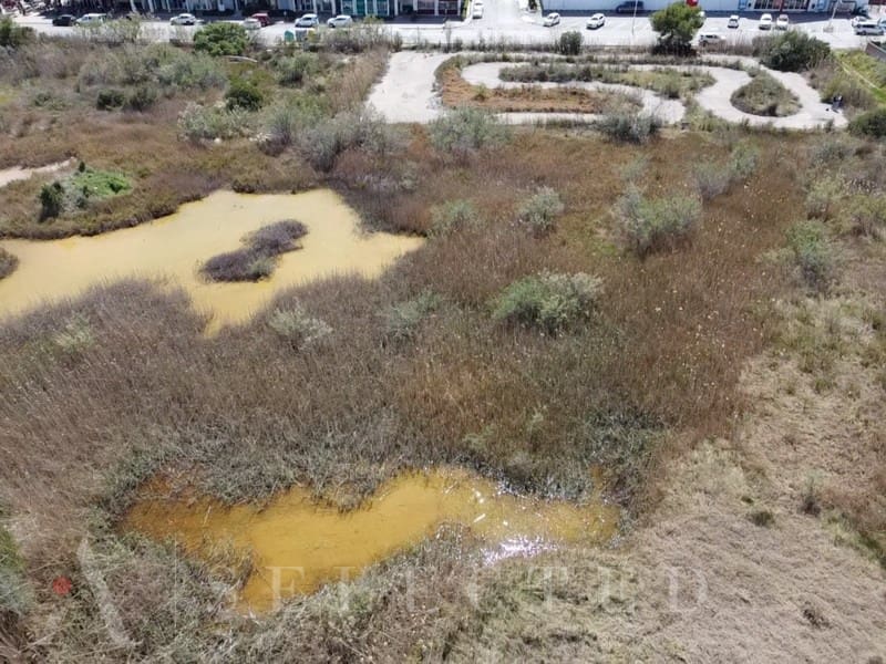 Terreno para Construção para venda em Alcudia - 3 578 000 € (Ref: 8155358)