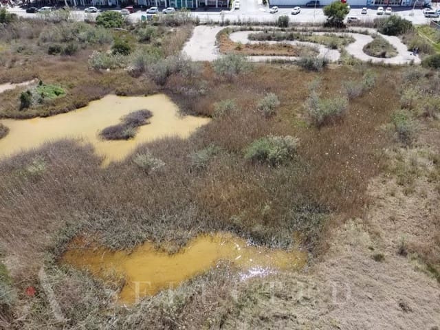 Terreno para Construção para venda em Alcúdia - 3 578 000 € (Ref: 8155358)