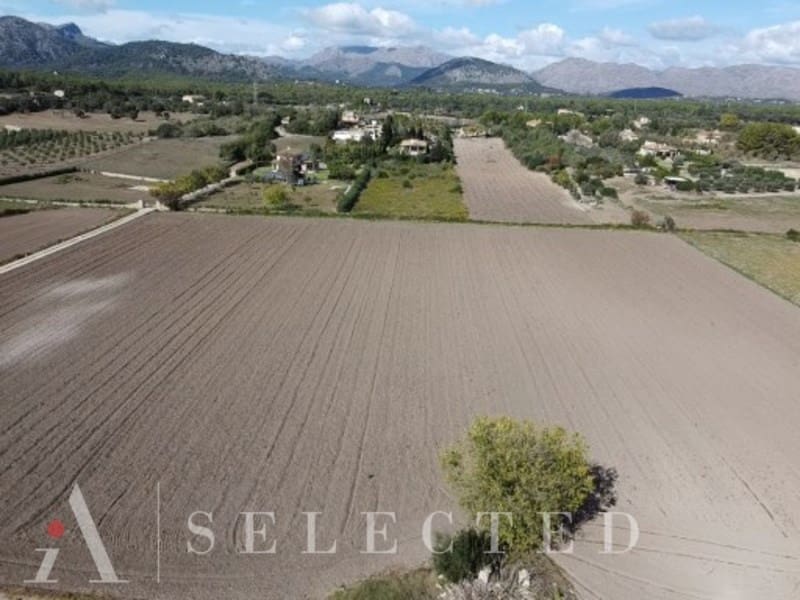 Teren niezagospodarowany na sprzedaż w Alcudia - 450 000 € (Ref: 8591022)