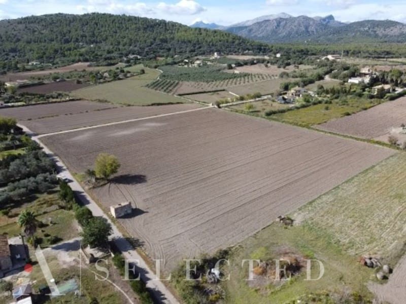 Teren niezagospodarowany na sprzedaż w Alcudia - 450 000 € (Ref: 8591022)