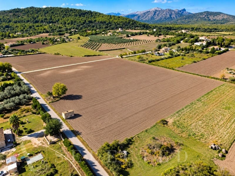 Grond te koop in Alcudia - € 322.000 (Ref: 8591022)