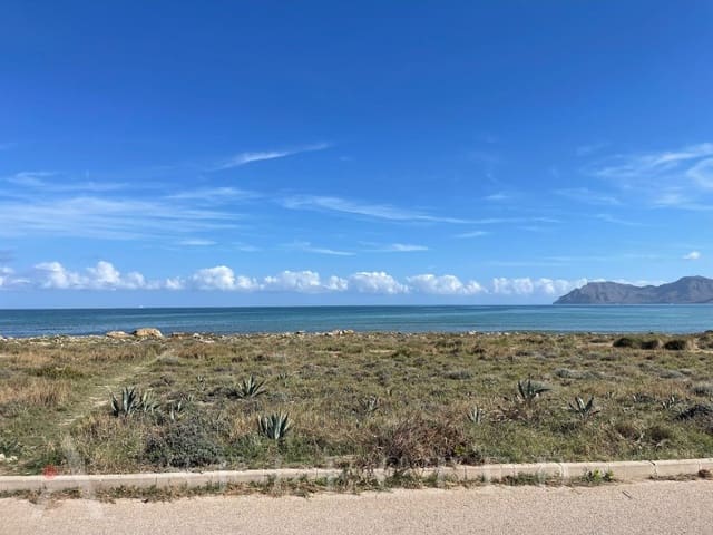 Building Plot for sale in Son Serra de Marina, Santa Margalida - € 1,400,000 (Ref: 9349332)