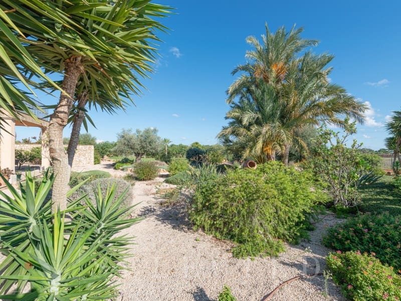 4 chambre Villa/Maison à vendre à Felanitx avec piscine - 3 200 000 € (Ref: 9377941)