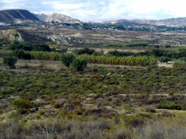 Undeveloped Land for sale in Torremendo, Orihuela - € 229,000 (Ref: 4234174)