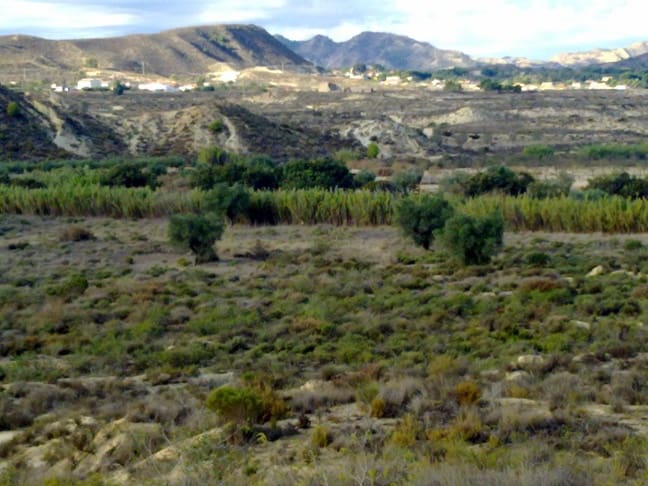 Grond te koop in Torremendo - € 229.000 (Ref: 4234174)