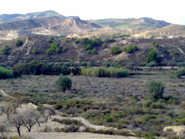 Grond te koop in Torremendo - € 229.000 (Ref: 4234174)