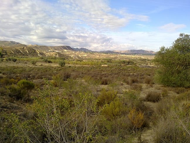 Grond te koop in Torremendo - € 229.000 (Ref: 4234174)