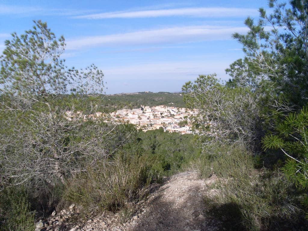 Grunde uden byggetilladelser til salg i San Miguel de Salinas - € 3.600.000 (Ref: 4545716)