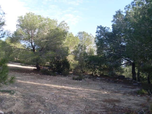 Grond te koop in San Miguel de Salinas - € 3.600.000 (Ref: 4545716)