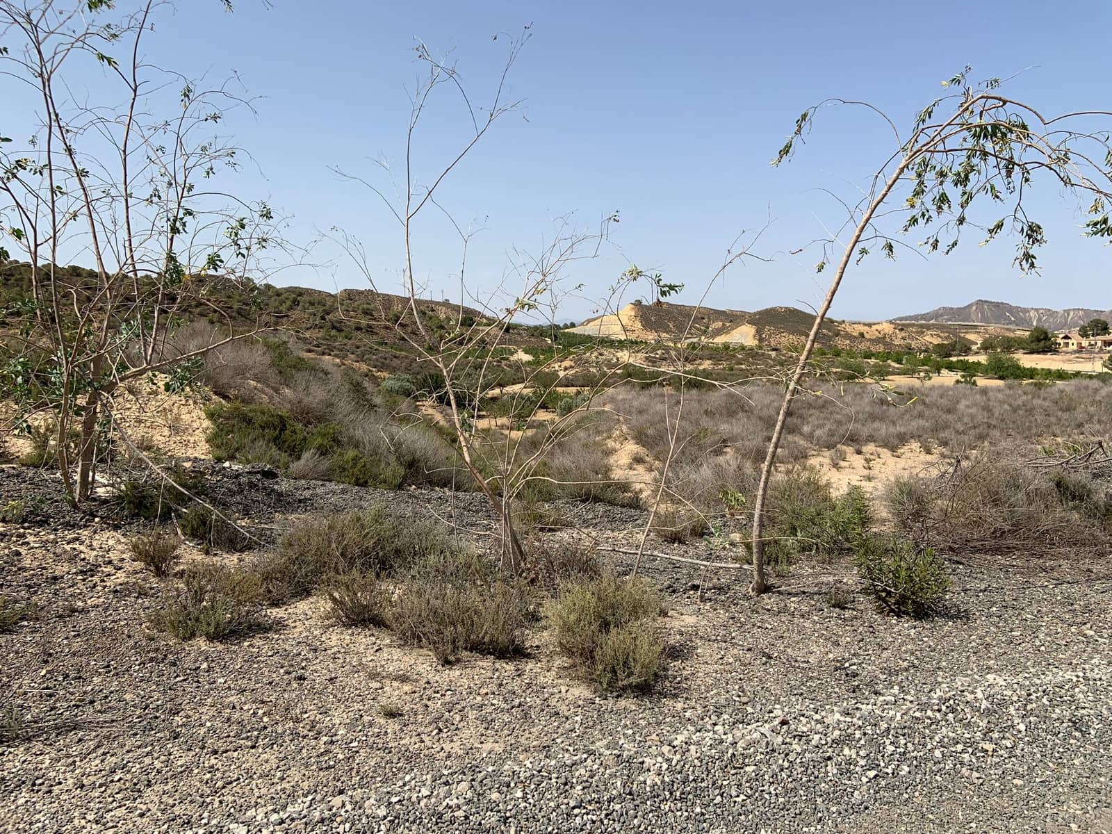 Ubebygd land til salgs i Sucina - € 240 000 (Ref: 9447163)