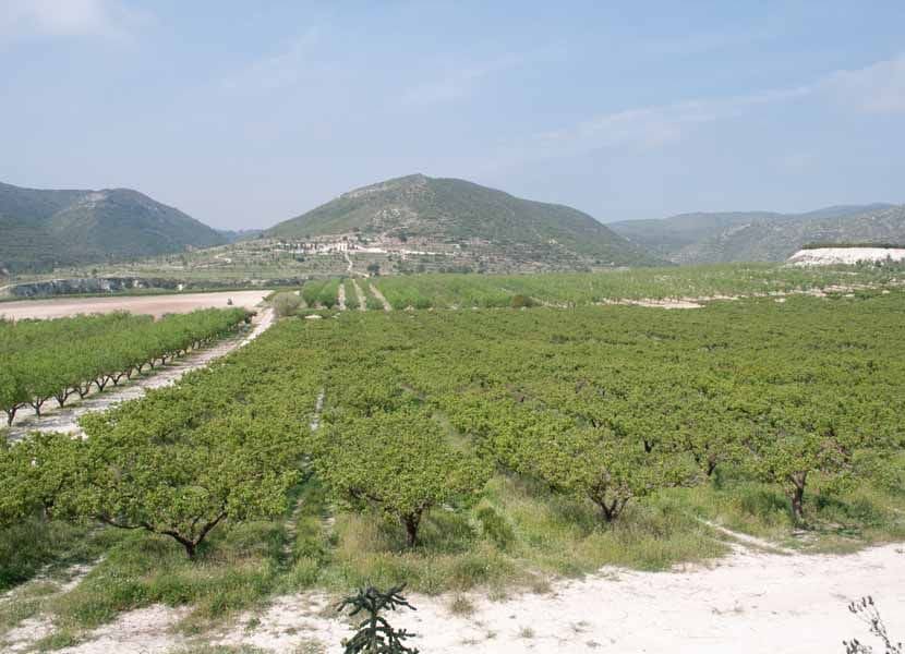 8 soveværelse Villa til salg i Ontinyent med swimmingpool garage - € 5.500.000 (Ref: 4088451)