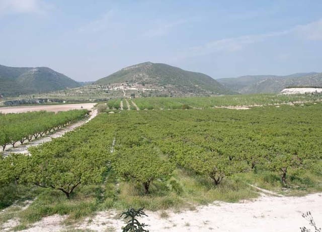 8 soverom Villa til salgs i Ontinyent med svømmebasseng garasje - € 5 500 000 (Ref: 4088451)