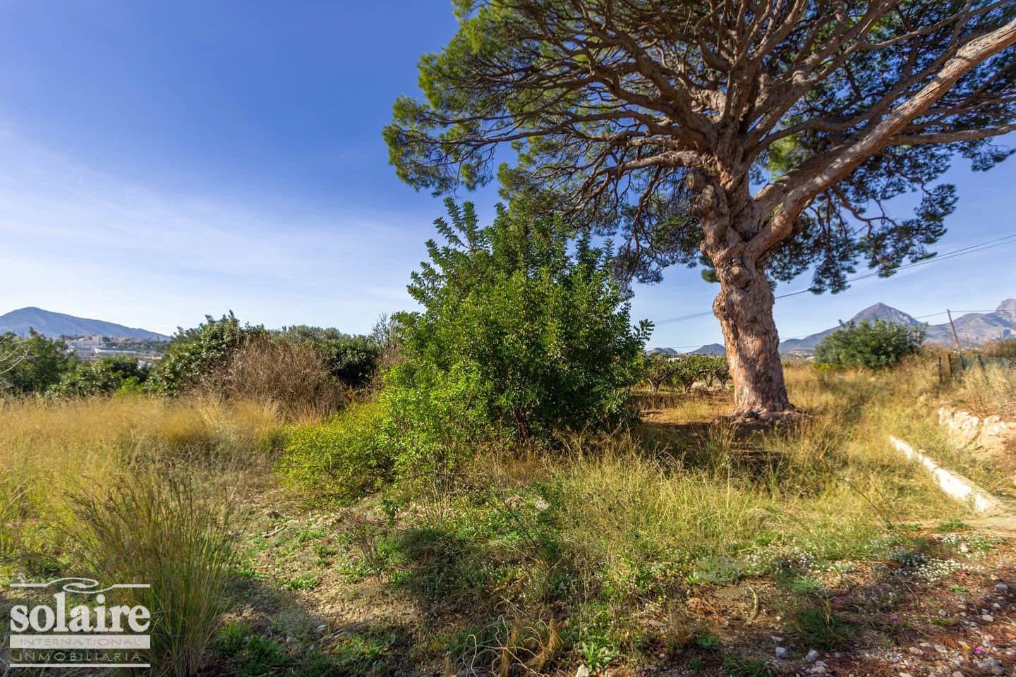 Terre non Aménagée à vendre à Altea - 390 000 € (Ref: 4187049)