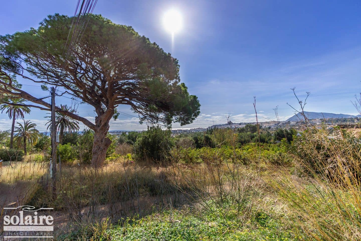 Terre non Aménagée à vendre à Altea - 390 000 € (Ref: 4187049)