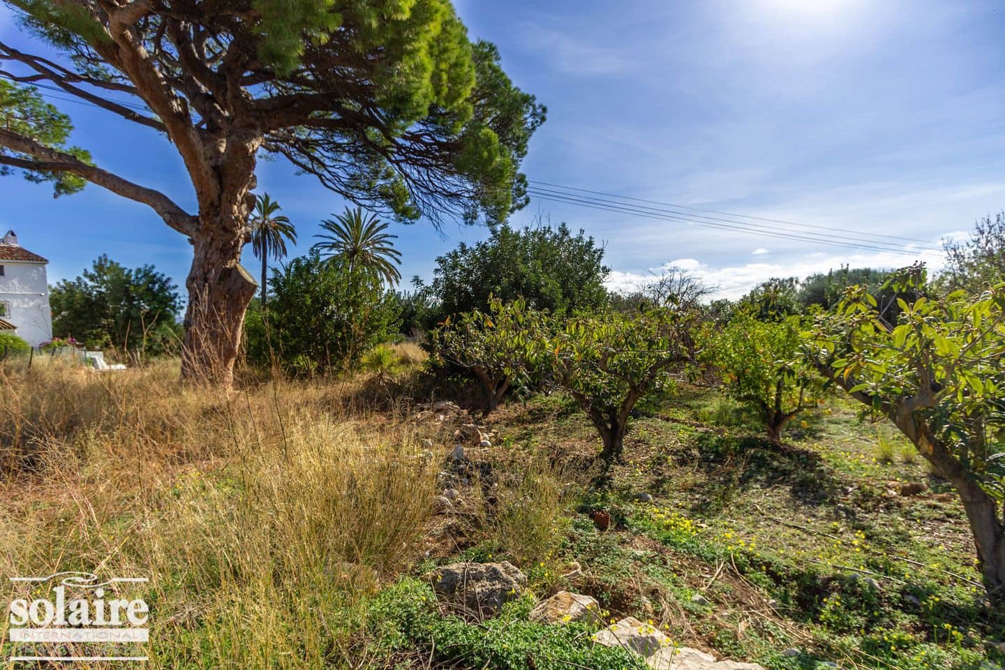 Terre non Aménagée à vendre à Altea - 390 000 € (Ref: 4187049)