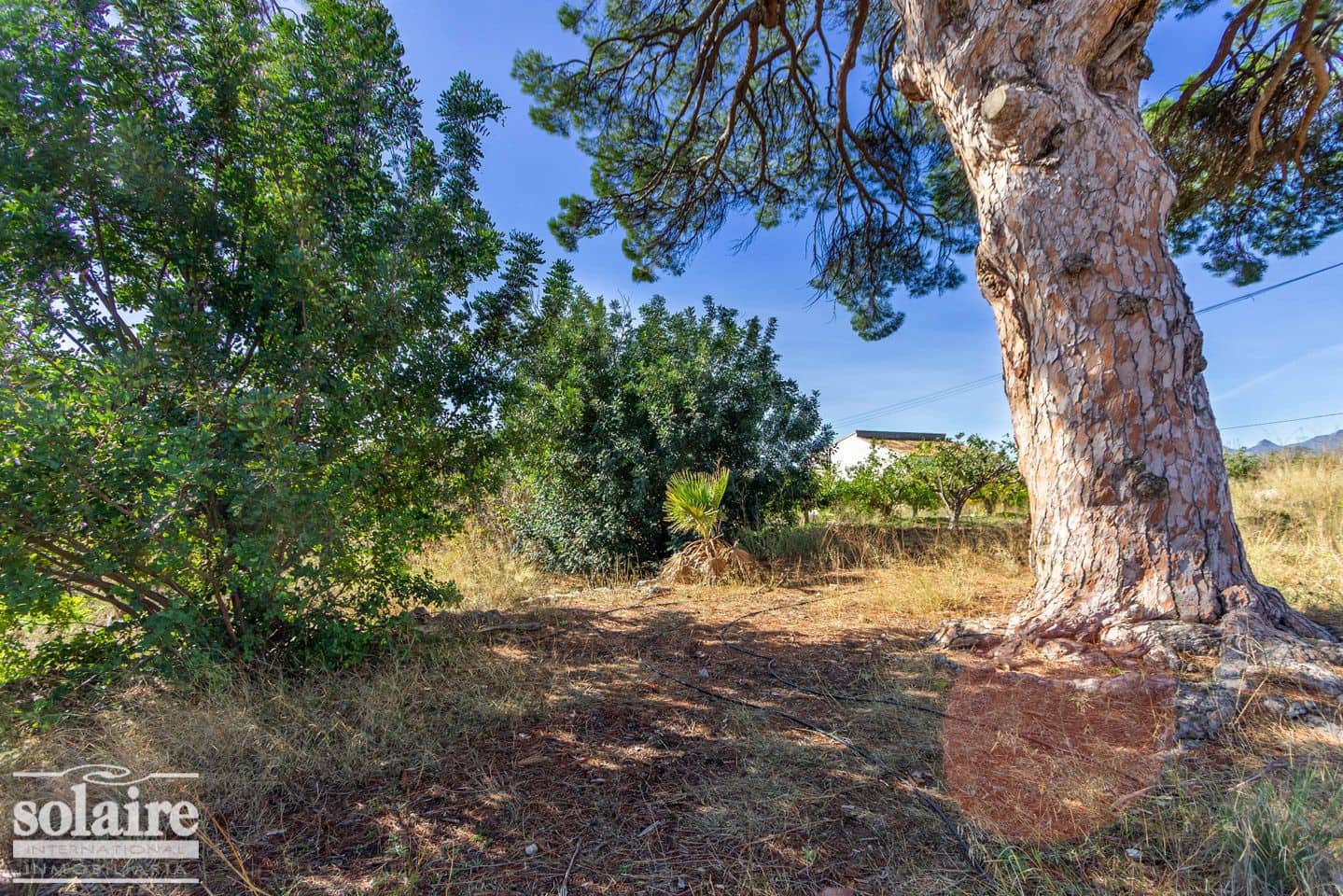 Terre non Aménagée à vendre à Altea - 390 000 € (Ref: 4187049)