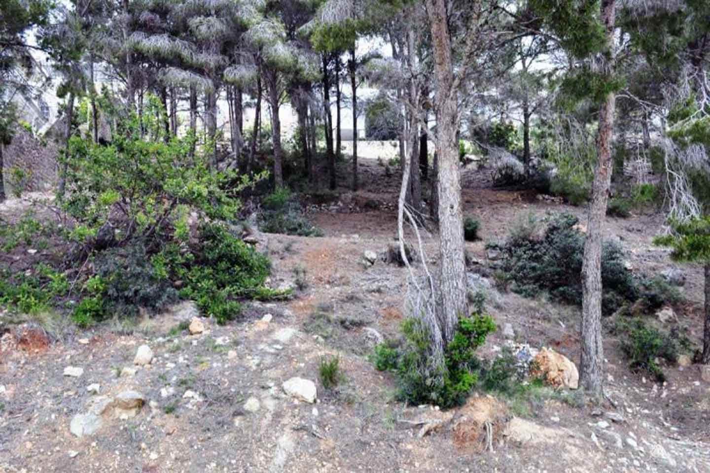 Terreno Non Edificato in vendita in Altea - 511.200 € (Rif: 6996709)