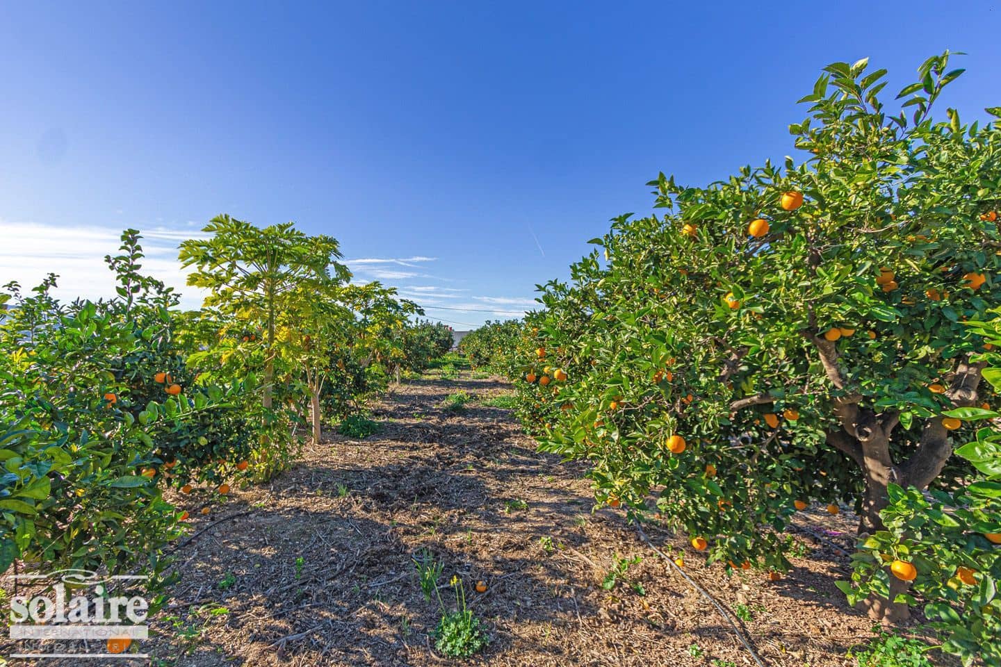 6 bedroom Villa for sale in Altea with pool garage - € 1,700,000 (Ref: 7436619)
