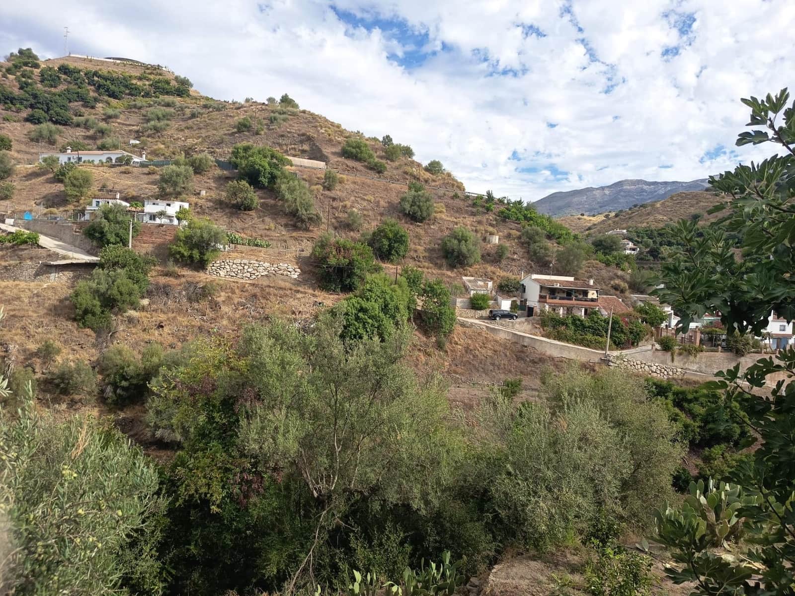 Terre non Aménagée à vendre à Canillas de Aceituno - 30 000 € (Ref: 10068026)