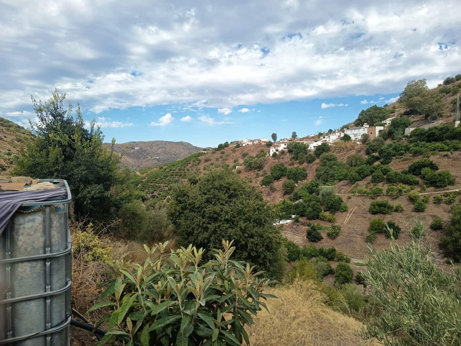 Terre non Aménagée à vendre à Canillas de Aceituno - 30 000 € (Ref: 10068026)