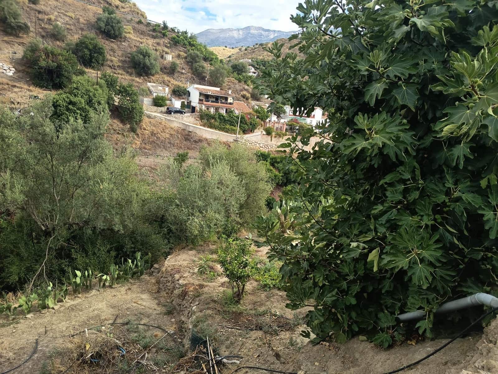 Terre non Aménagée à vendre à Canillas de Aceituno - 30 000 € (Ref: 10068026)