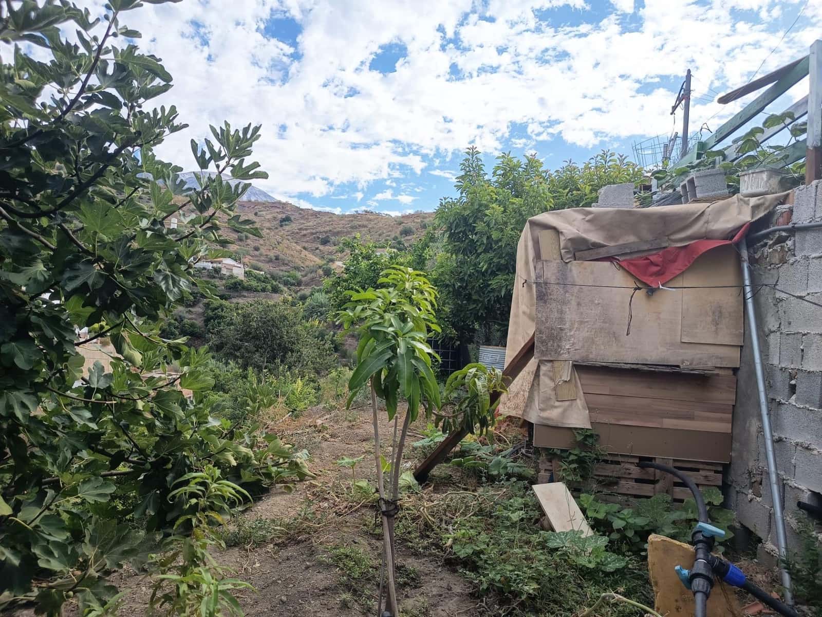 Terre non Aménagée à vendre à Canillas de Aceituno - 30 000 € (Ref: 10068026)