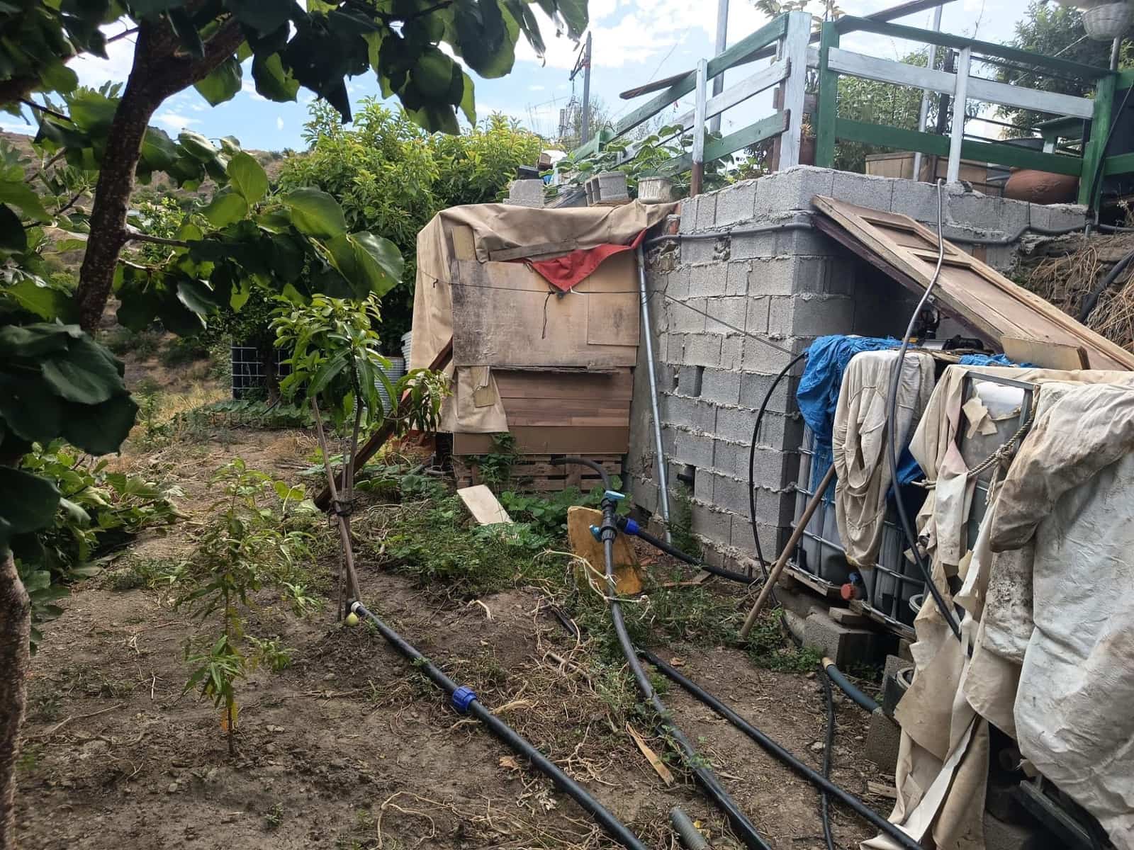 Terre non Aménagée à vendre à Canillas de Aceituno - 30 000 € (Ref: 10068026)