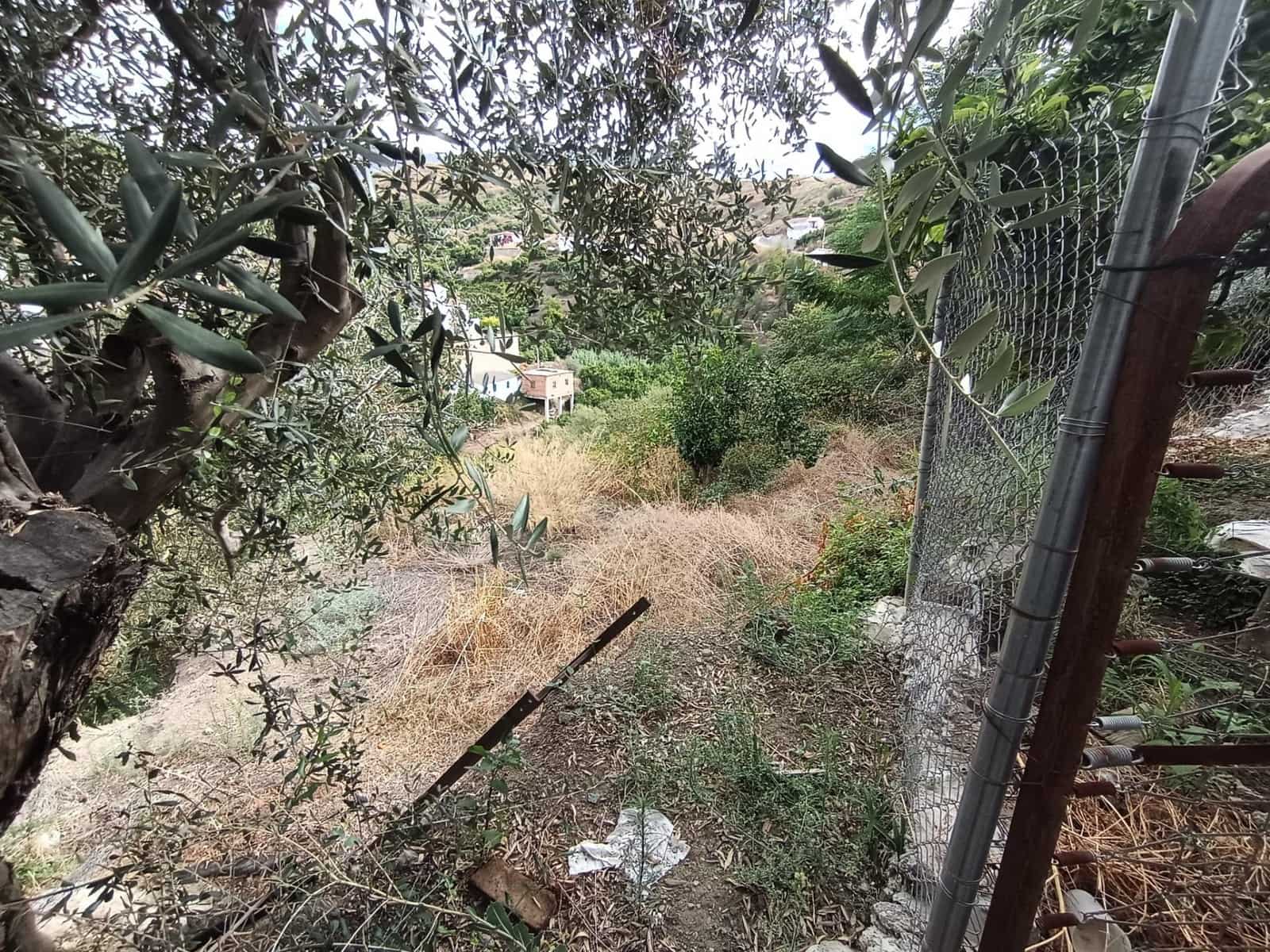 Terre non Aménagée à vendre à Canillas de Aceituno - 30 000 € (Ref: 10068026)
