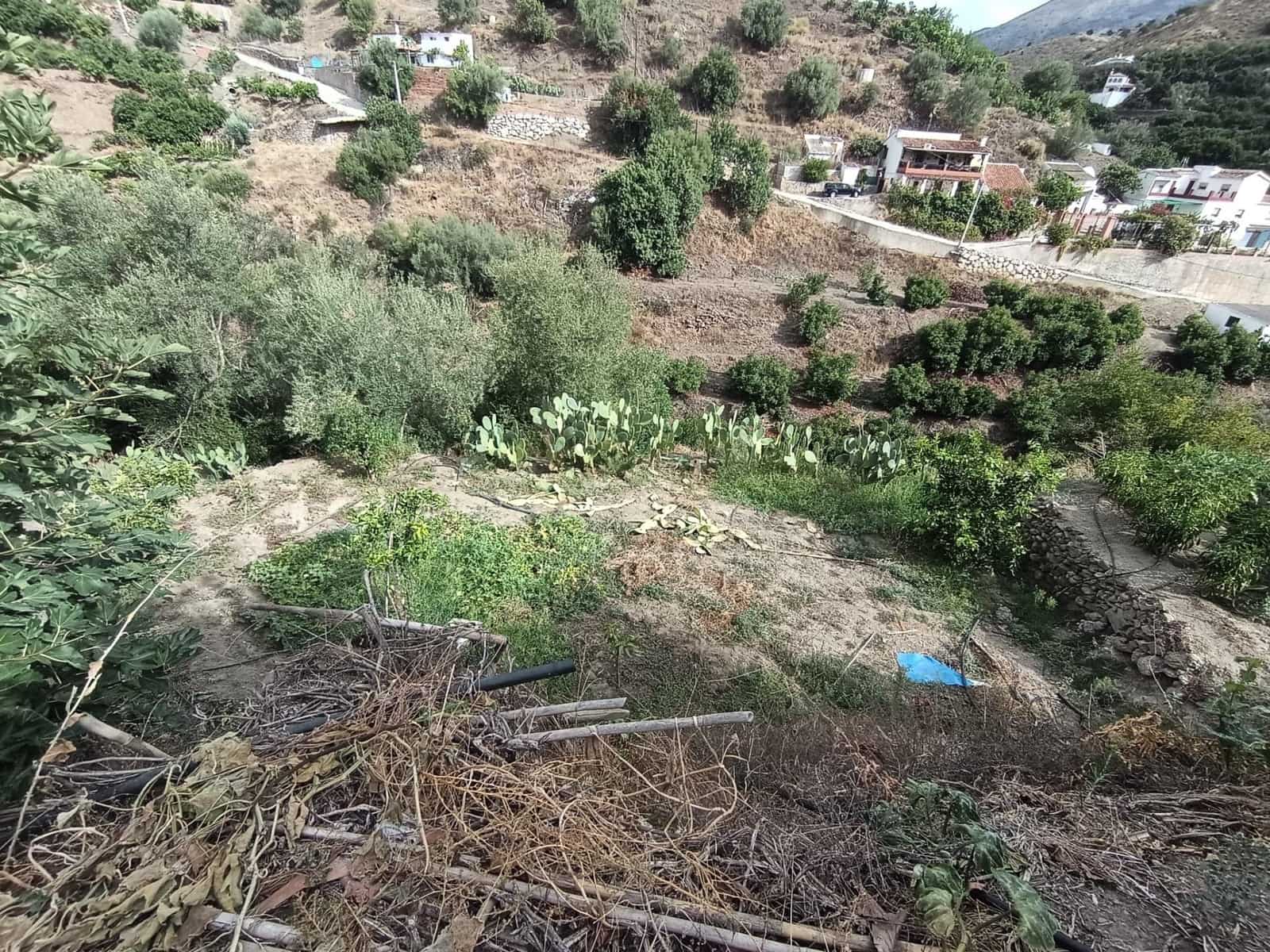 Terre non Aménagée à vendre à Canillas de Aceituno - 30 000 € (Ref: 10068026)